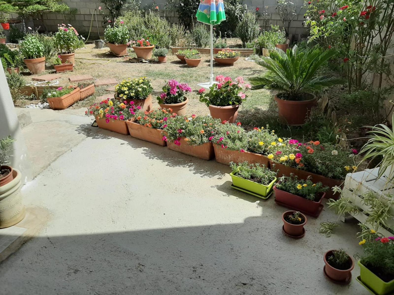 Casa Vacanze Millefiori Codice Iun Q3156 Teulada Exterior foto